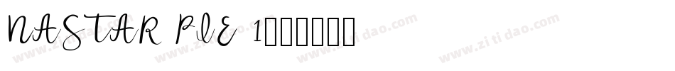 NASTAR PIE 1字体转换